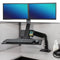Gabor Dual-Monitor Sit/Stand Desktop Mount
