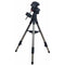 iOptron GEM28 GoTo EQ Mount with Tripod