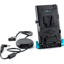 IndiPRO Tools V-Mount Battery Adapter Plate with 15mm Rod Mount for Sony FX6 (24")