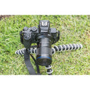 Venus Optics Laowa 65mm f/2.8 2x Ultra Macro APO Lens for Nikon Z