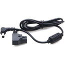 DigitalFoto Solution Limited D-Tap to 5.5 x 2.5mm DC Barrel Power Cable (36.4")