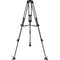 Libec RT20C 2-Stage Lightweight Carbon Fiber Tripod with 75mm Bowl