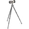 Gitzo Systematic Series 4 Carbon Fiber Tripod with Arca-Type Series 4 Center Ball Head with Lever Release