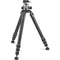 Gitzo Systematic Series 5 Carbon Fiber Tripod with Arca-Type Series 4 Center Ball Head with Lever Release