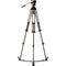 Libec NX-300C Carbon Fiber Tripod System with NH30 Head, Ground Spreader, Long Plate & Case