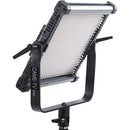 CAME-TV 576B Bi-Color LED 2-Panel Kit