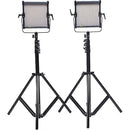 CAME-TV 576B Bi-Color LED 2-Panel Kit