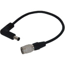 IDX System Technology DC Power Cable for ST-7R Shoulder Rig Adapter to Panasonic AG-DVX200 & AJ-PX270 (12")