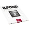 Ilford Multigrade V RC Portfolio Paper (Pearl, 11 x 14", 10 Sheets)