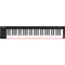 Nektar Technology SE61 USB MIDI Controller Keyboard