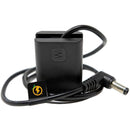 Juicebox NP-FW50 Style Power Coupler for Select Sony Cameras (23.6")