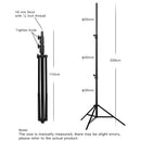 DigitalFoto Solution Limited Studio Stand (9.5')