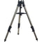 iOptron AZ Mount Pro Tripod