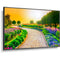 NEC MultiSync M431-MPI4E 43" Class HDR 4K UHD Commercial IPS LED Display with Raspberry Pi Media Player