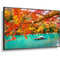 NEC MA431 Series 43" Class 4K UHD Commercial IPS LED Display with integrated SoC Media Player