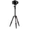 Benro MeFOTO BackPacker Classic Aluminum Travel Tripod with Ball Head (Black)