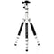 Benro MeFOTO RoadTrip Pro Aluminum Series 1 Travel Tripod with Ball Head and Monopod (Silver)