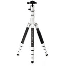 Benro MeFOTO RoadTrip Pro Carbon Fiber Series 1 Travel Tripod with Ball Head and Monopod (Silver)