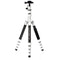 Benro MeFOTO RoadTrip Pro Carbon Fiber Series 1 Travel Tripod with Ball Head and Monopod (Silver)