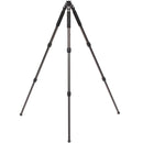 Benro CLT203 2-Series Induro Classic Carbon Fiber Tripod