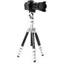 Benro MeFOTO RoadTrip Pro Aluminum Series 1 Travel Tripod with Ball Head and Monopod (Silver)