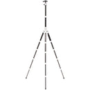 Benro MeFOTO RoadTrip Pro Carbon Fiber Series 1 Travel Tripod with Ball Head and Monopod (Silver)