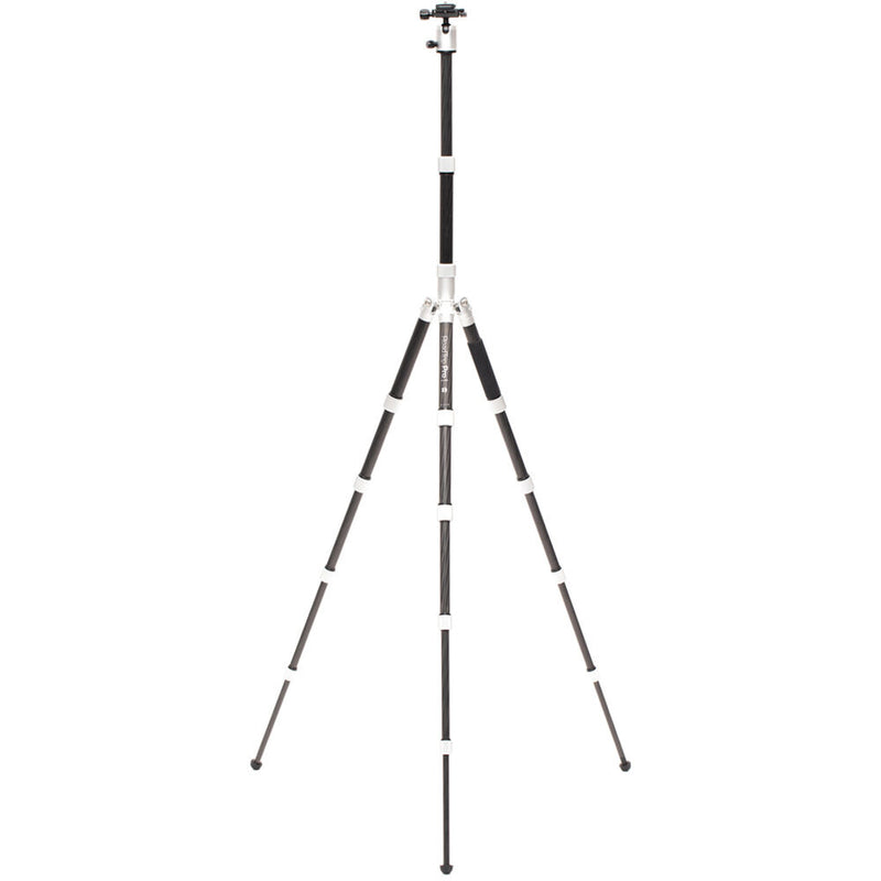 Benro MeFOTO RoadTrip Pro Carbon Fiber Series 1 Travel Tripod with Ball Head and Monopod (Silver)