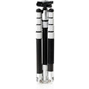 Benro MeFOTO RoadTrip Pro Carbon Fiber Series 1 Travel Tripod with Ball Head and Monopod (Silver)