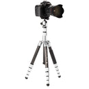 Benro MeFOTO RoadTrip Pro Carbon Fiber Series 1 Travel Tripod with Ball Head and Monopod (Silver)