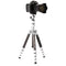 Benro MeFOTO RoadTrip Pro Carbon Fiber Series 1 Travel Tripod with Ball Head and Monopod (Silver)