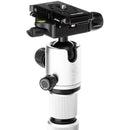 Benro MeFOTO RoadTrip Pro Carbon Fiber Series 1 Travel Tripod with Ball Head and Monopod (Silver)