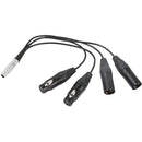 CAMVATE 10-Pin LEMO-Type to 3-Pin XLR Audio Breakout Cable for Atomos Shogun/Inferno (13.7")