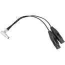 CAMVATE 10-Pin to Dual XLR Audio Input Cable for Shogun Inferno (Right Angle)