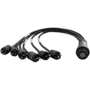 Lex Products EverGrip Break-In Six NEMA 5-15 Edison Male to LSC19 Female Cable (3')