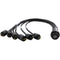 Lex Products EverGrip Break-In Six NEMA 5-15 Edison Male to LSC19 Female Cable (3')