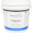 Pro Cyc Cyclorama White Studio Paint (1 Gallon)