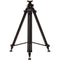 E-Image Aluminum Tripod with Rising Center Column & QR Plate for PTZ Cameras