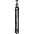 Vanguard VEO3 263CB Carbon Fiber Tripod & VEO BH-160S Ball Head