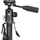 Vanguard Carbon Fiber Monopod with Tri-Feet and VEO BP-120T Ball Head