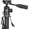 Vanguard Carbon Fiber Monopod with Tri-Feet and VEO BP-120T Ball Head