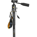 Vanguard Aluminum Monopod with Tri-Feet and VEO BP-50T Ball Head