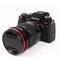 Moment 77mm CineBloom Diffusion Filter (5% Density)