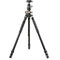 Vanguard VEO 3+ 263AB Aluminum Tripod with VEO BH-160S Ball Head