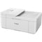 Canon PIXMA TR4720 Wireless All-in-One Printer (White)