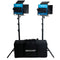 Dracast Series LED500 X Series Bi-Color 2-Light Kit with Soft Carrying Case