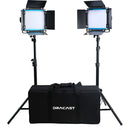 Dracast Series LED500 X Series Bi-Color 2-Light Kit with Soft Carrying Case