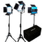 Dracast LED500 X-Series Daylight LED 3-Light Kit with Travel Case