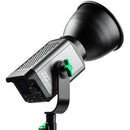 Weeylite Ninja 300 Portable MINI 80W MINI LED Spotlight