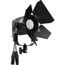 Fiilex P3 Color Pro Bundle