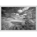 Venus Optics Laowa 10-18mm f/4.5-5.6 Zoom Lens for Leica L